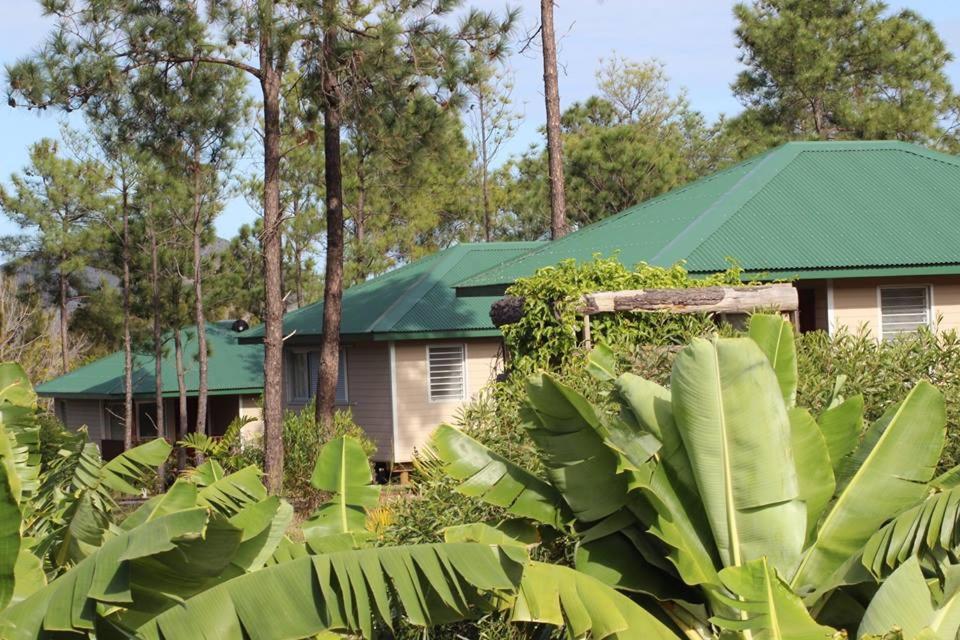 Le Gite Du Koniambo Voh Exterior foto